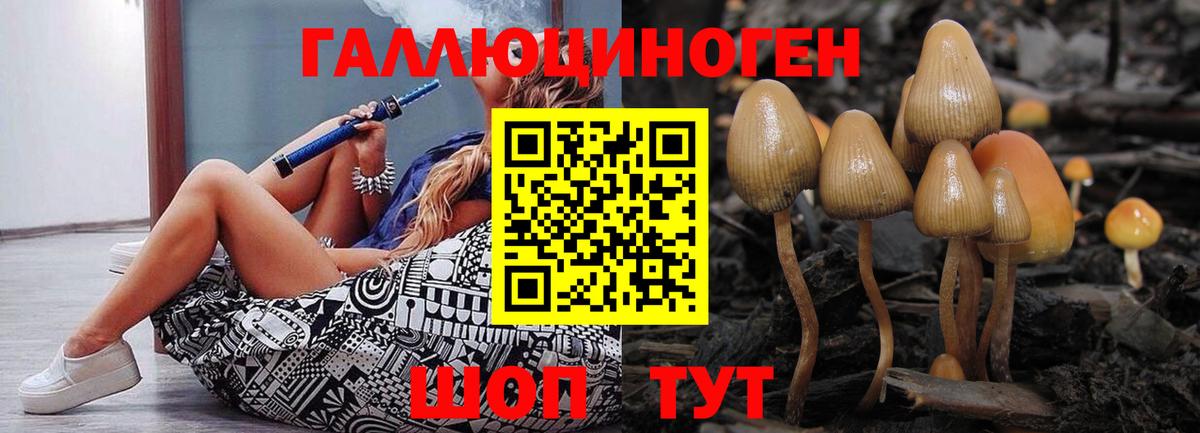 наркота  Галлюциногенные грибы прущие грибы  Узловая  Вход с VPN  Галлюциногенные грибы ЛСД 